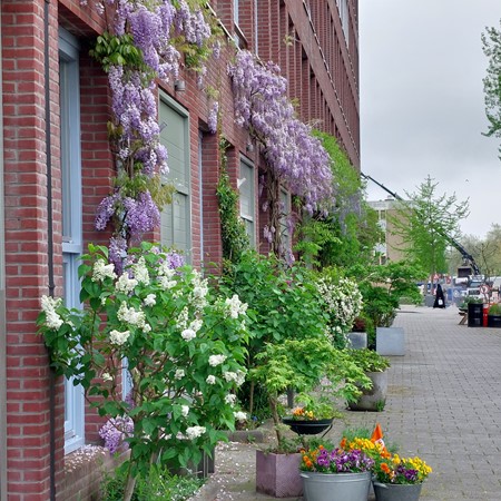 Medium property photo - Nijverheidstraat 160, 3071 GK Rotterdam